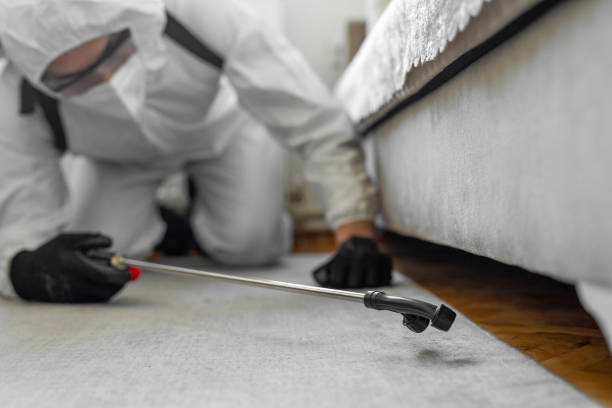 Professional Termite Control technician working in Newark, TX
