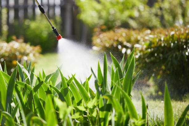 24/7 Emergency Termite Control experts in Newark, TX